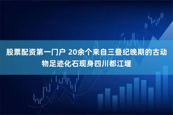 股票配资第一门户 20余个来自三叠纪晚期的古动物足迹化石现身四川都江堰